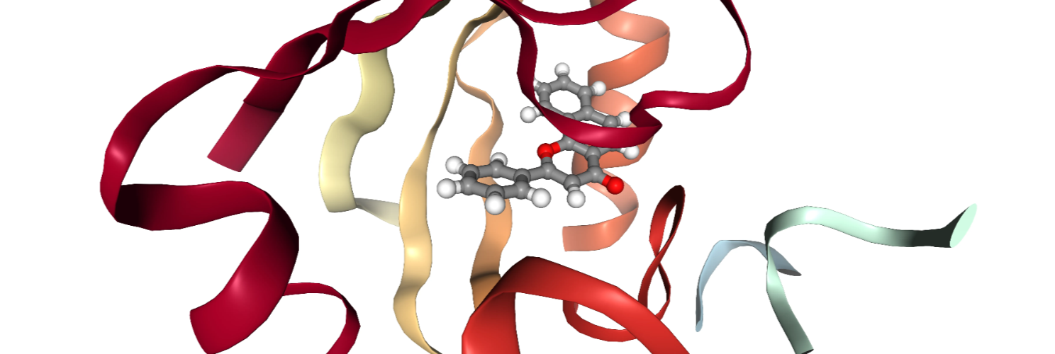 A representative snapshot from a protein–ligand trajectory
