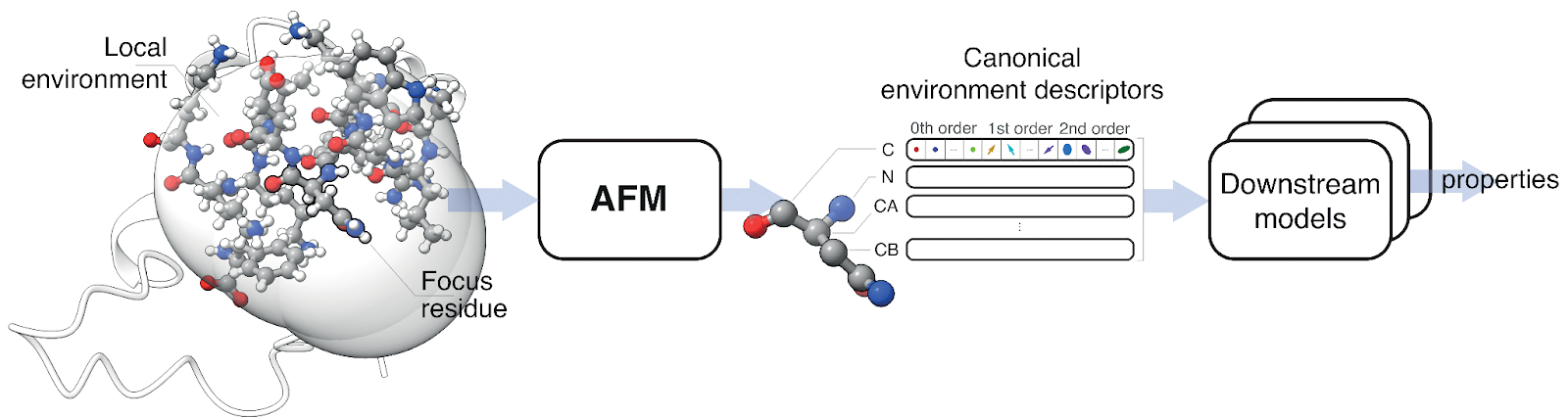 Visual overview of the AFM pipeline.