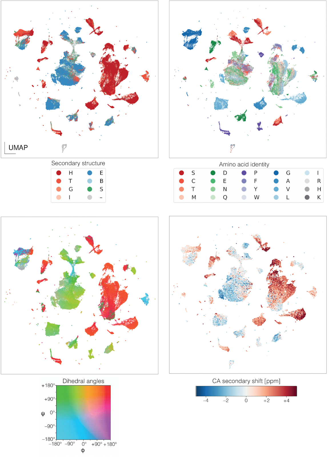 UMAP of the AFM embeddings.