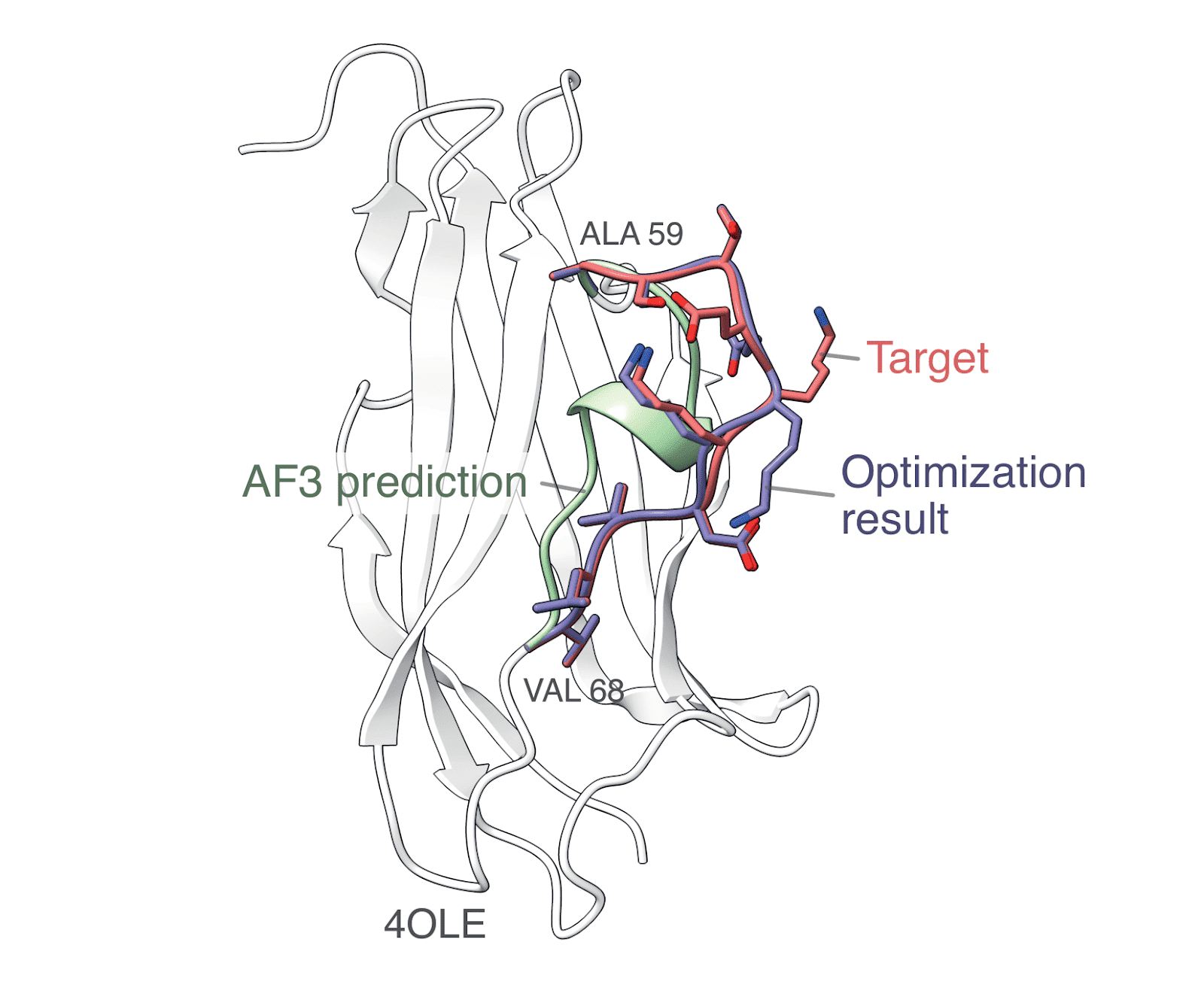 MACE descriptors for refining AlphaFold3 predictions.