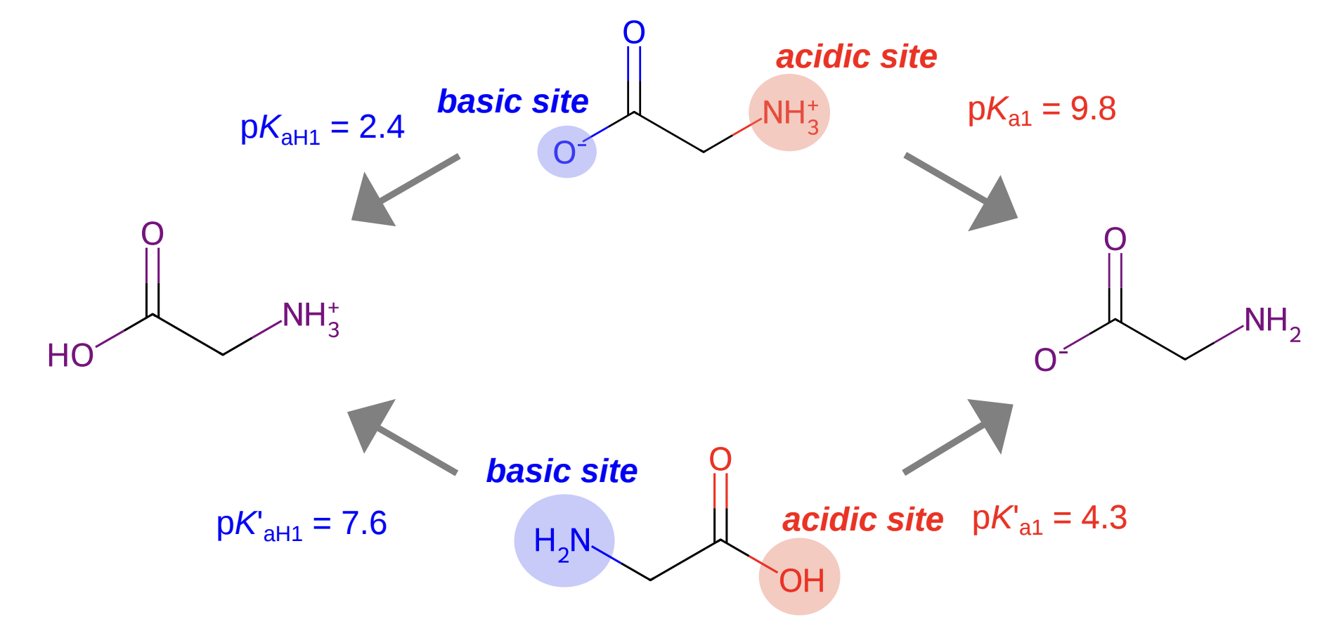 The microscopic pKa values for glycine.