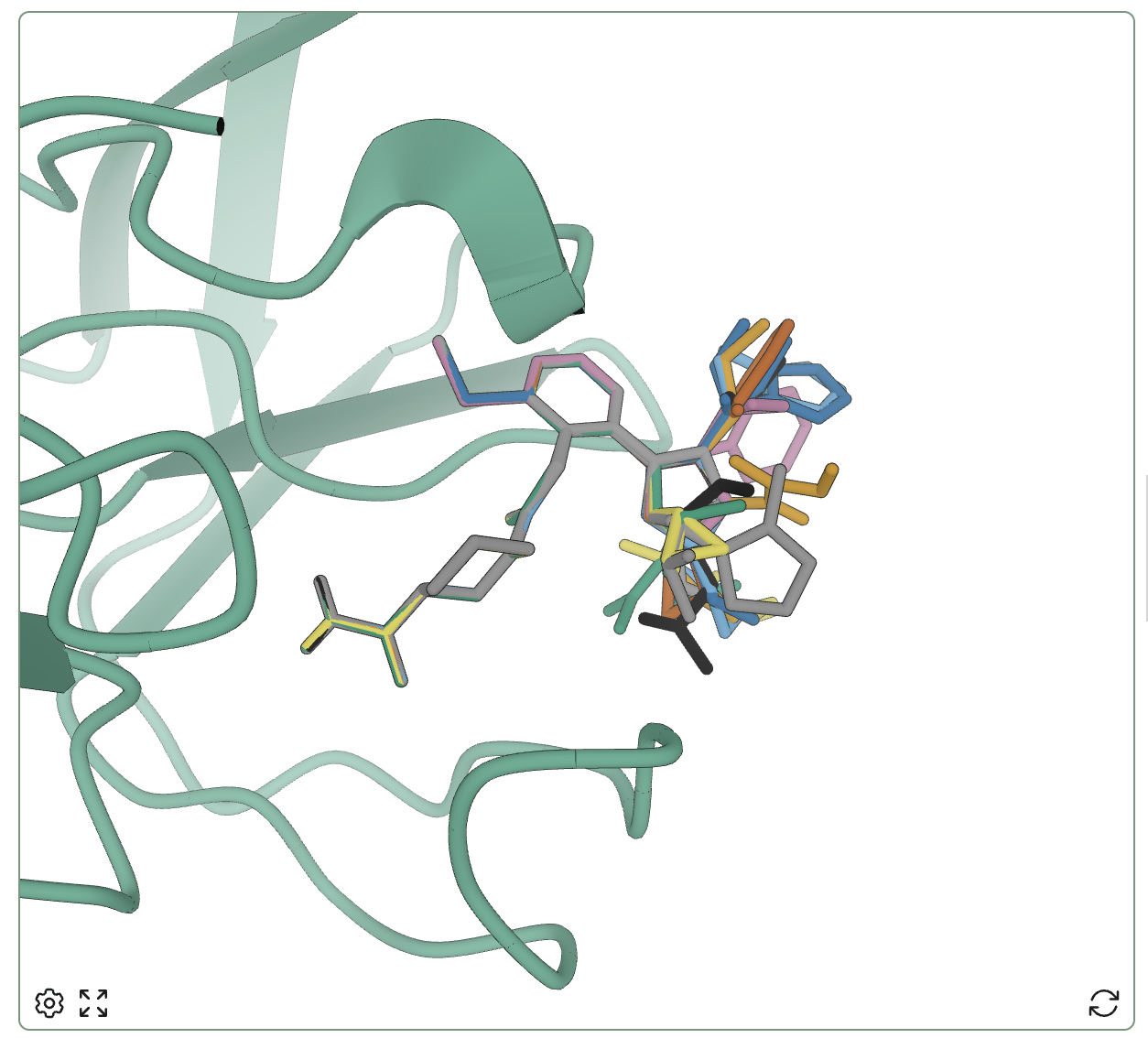 The overlaid pyrrolidine-series compounds.
