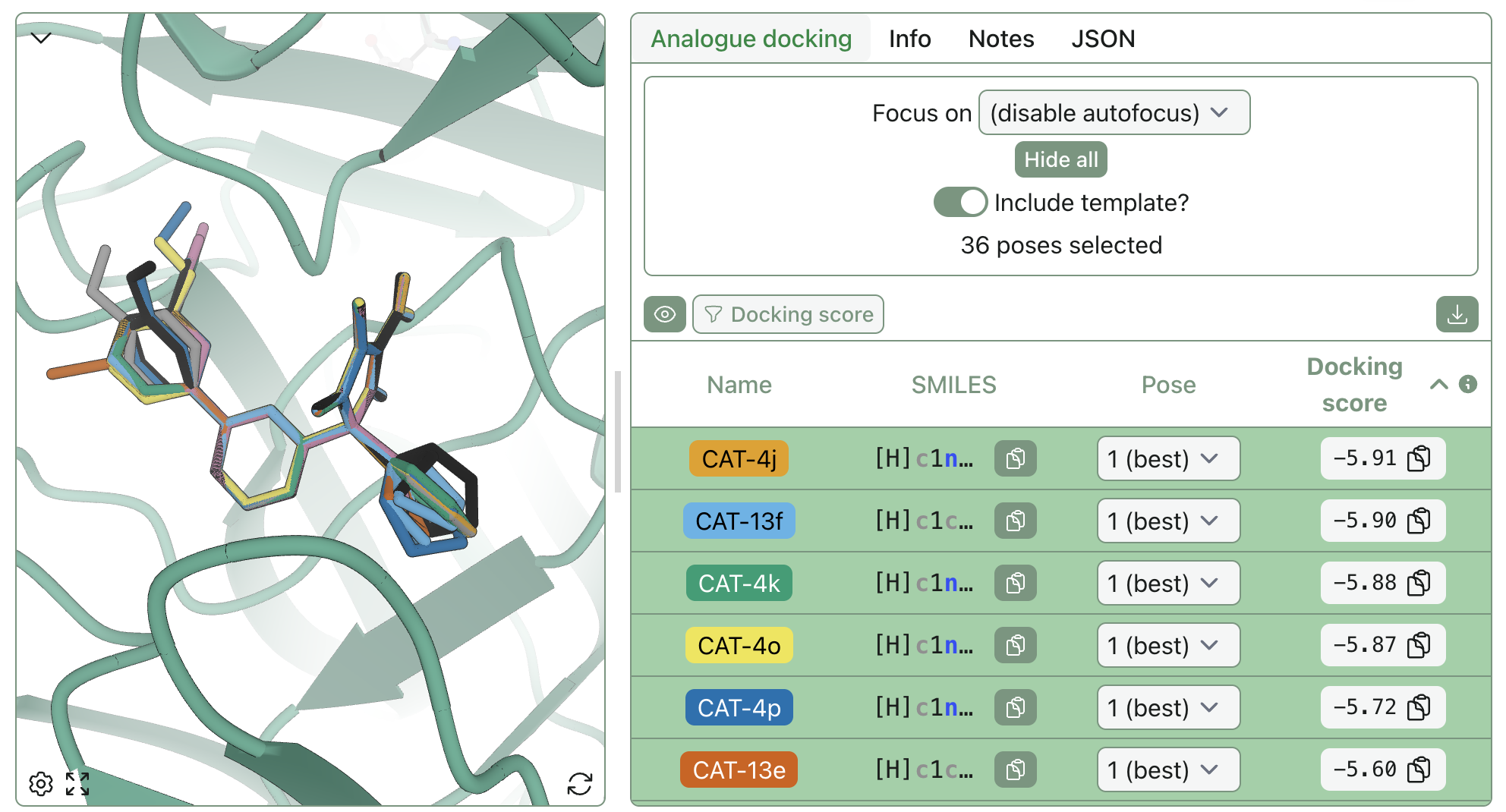 Overlay of the best Vina-ranked BACE analogue poses before MM/GBSA optimization.