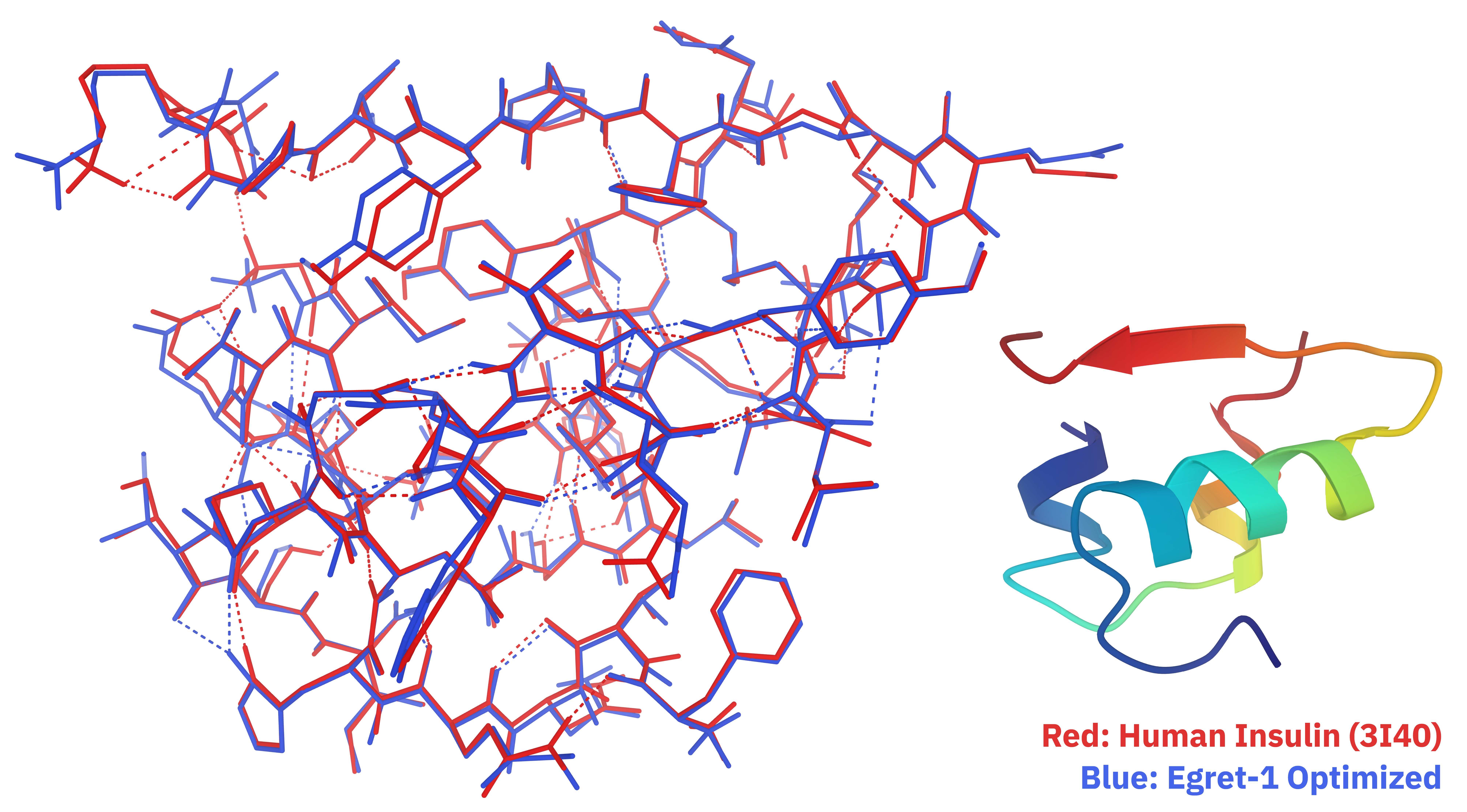 Comparison of initial (red) and optimized (blue) all-atom human insulin structures.