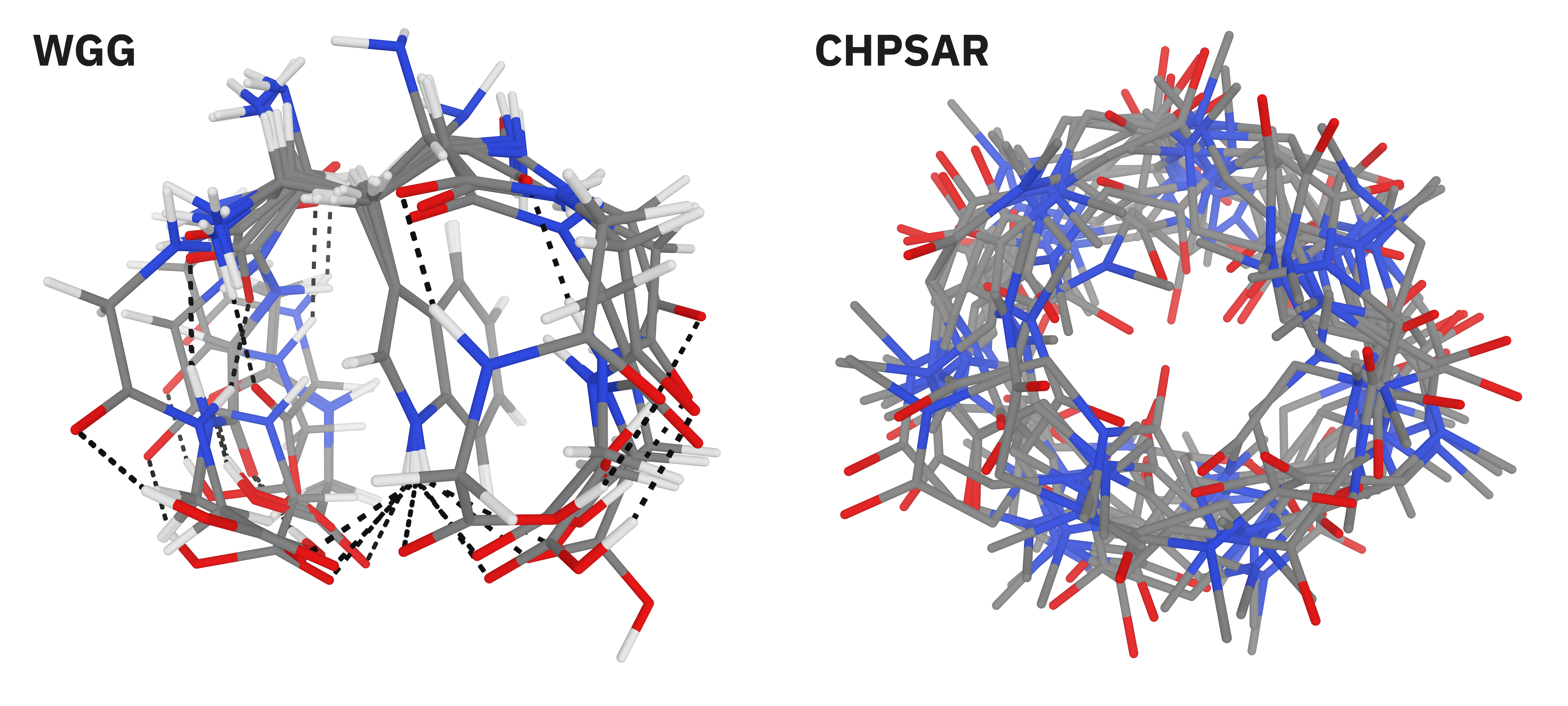 Representative macrocyclic conformer ensembles from the MPCONF196 benchmark set.