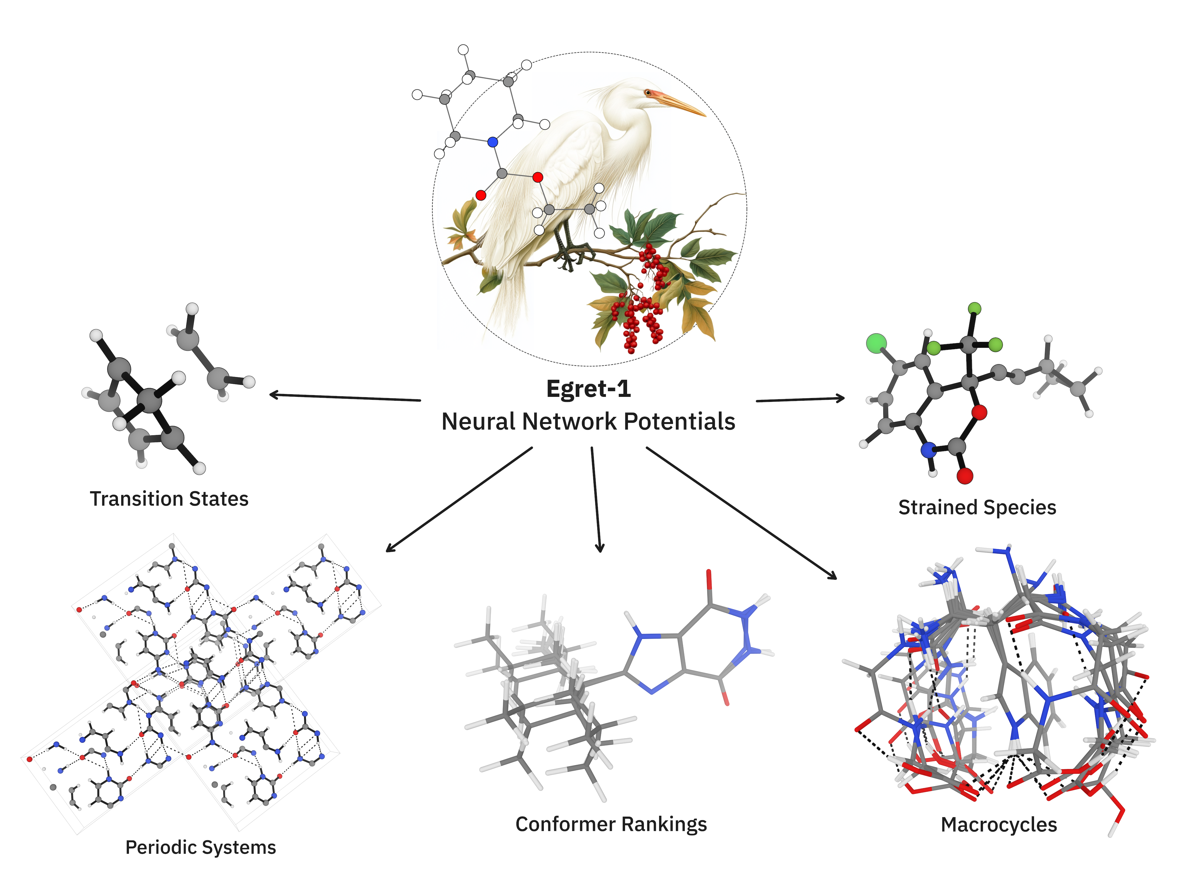 Visual abstract showcasing Egret-1's capabilites in bioorganic simulation