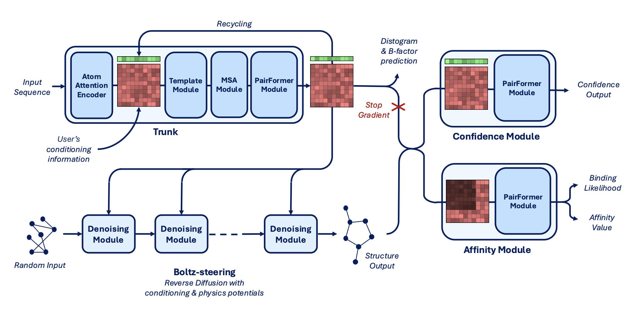 Boltz-2 architecture diagram
