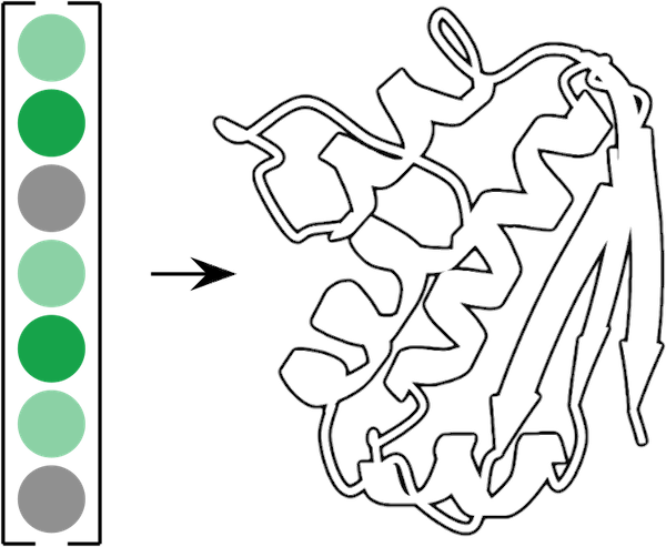 Chai-1 (Protein–Ligand Co-Folding)